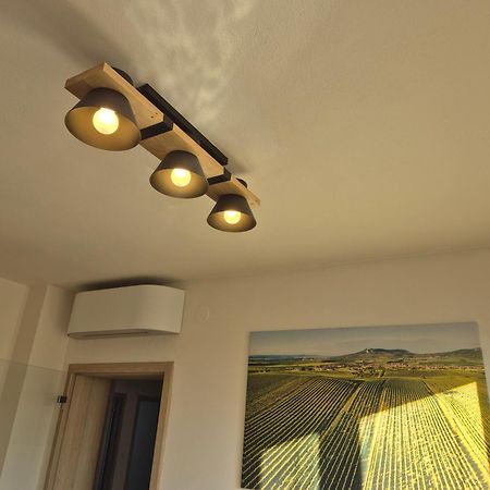 Apartman Vital Na Palave - Ubytovani & Zivotni Restart Пасохлавки Экстерьер фото