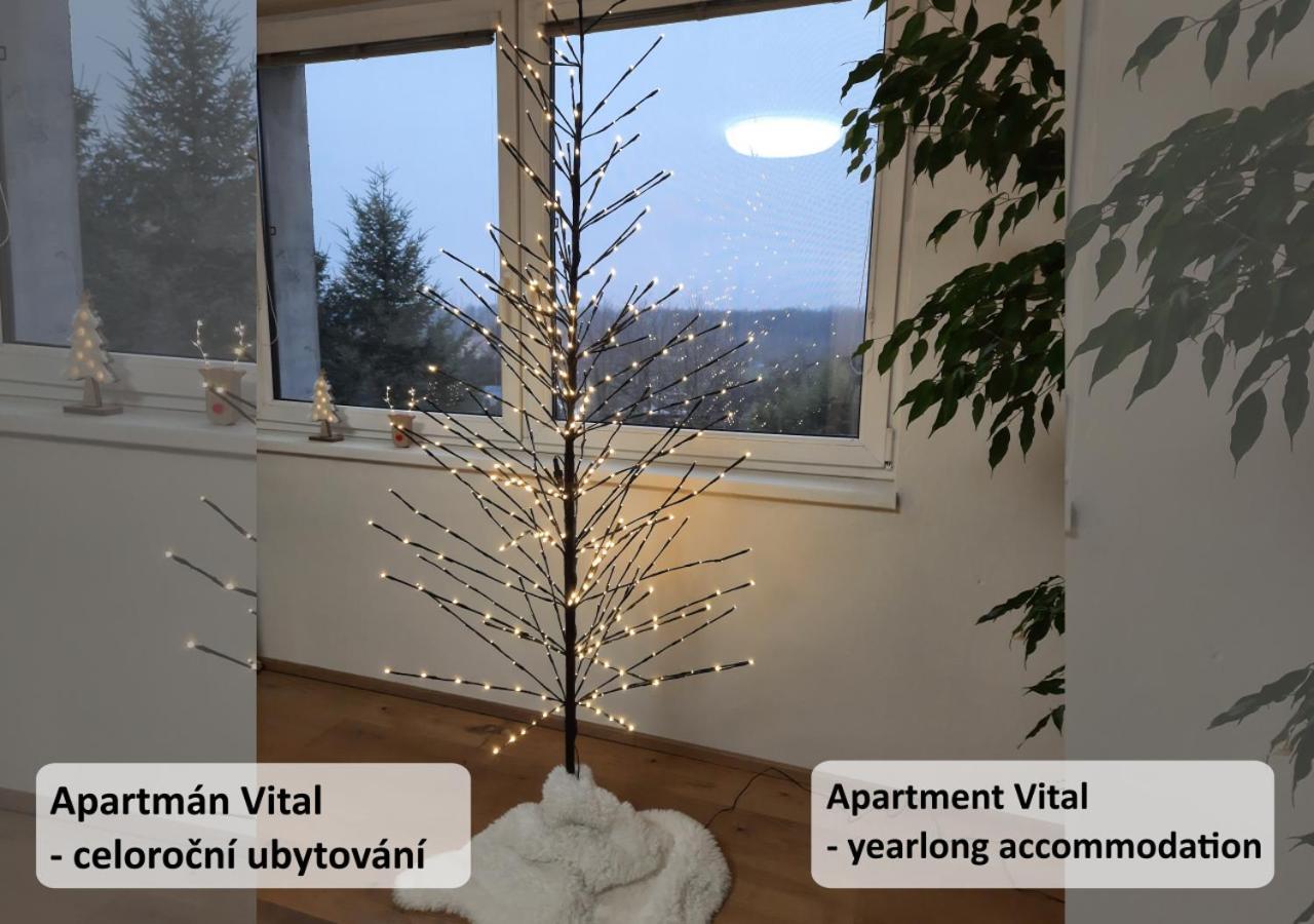 Apartman Vital Na Palave - Ubytovani & Zivotni Restart Пасохлавки Экстерьер фото