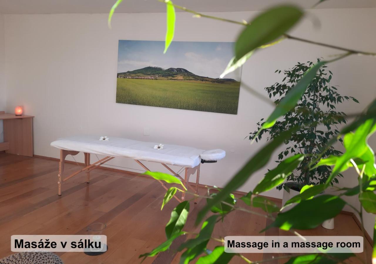 Apartman Vital Na Palave - Ubytovani & Zivotni Restart Пасохлавки Экстерьер фото