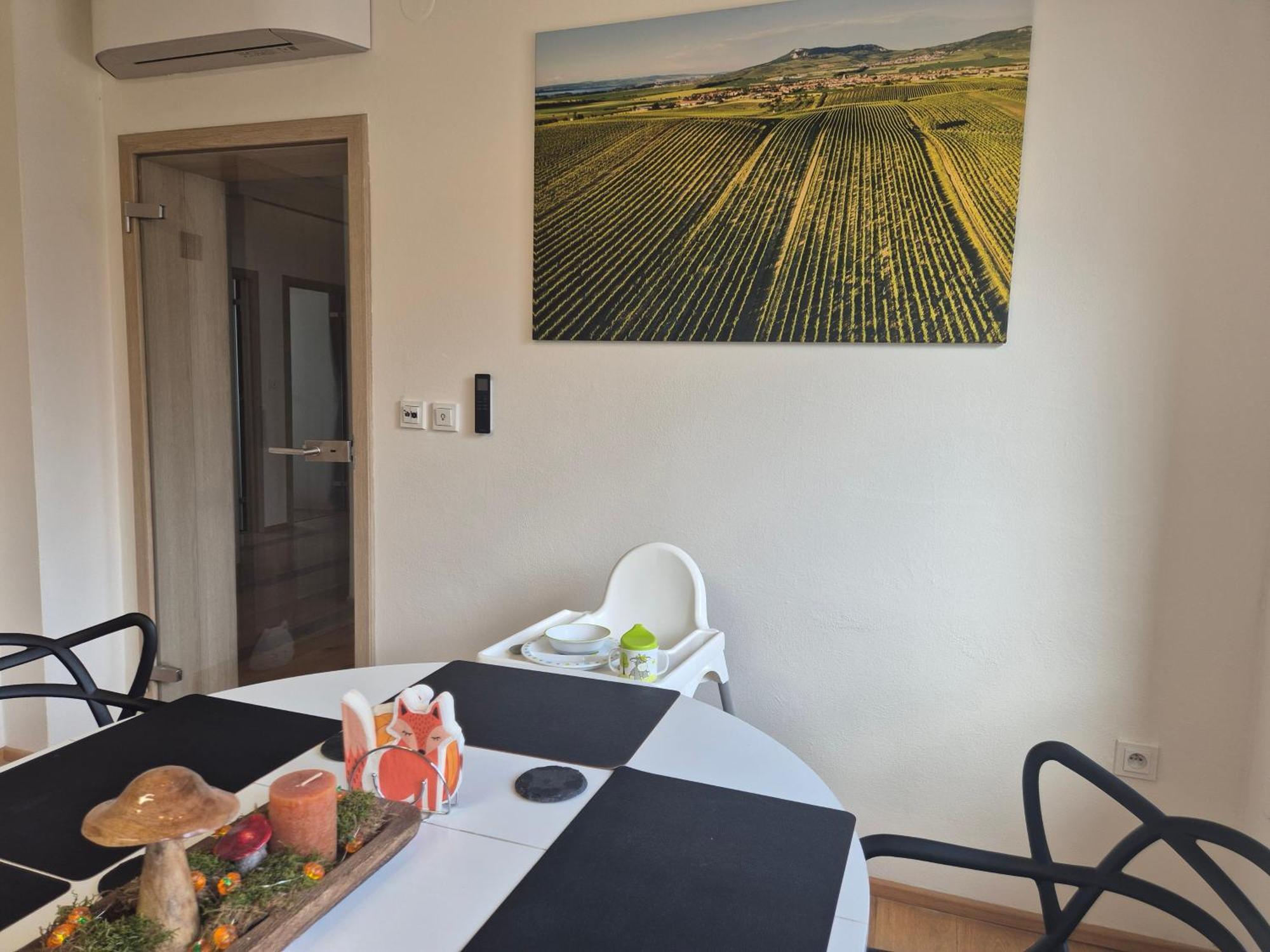 Apartman Vital Na Palave - Ubytovani & Zivotni Restart Пасохлавки Экстерьер фото