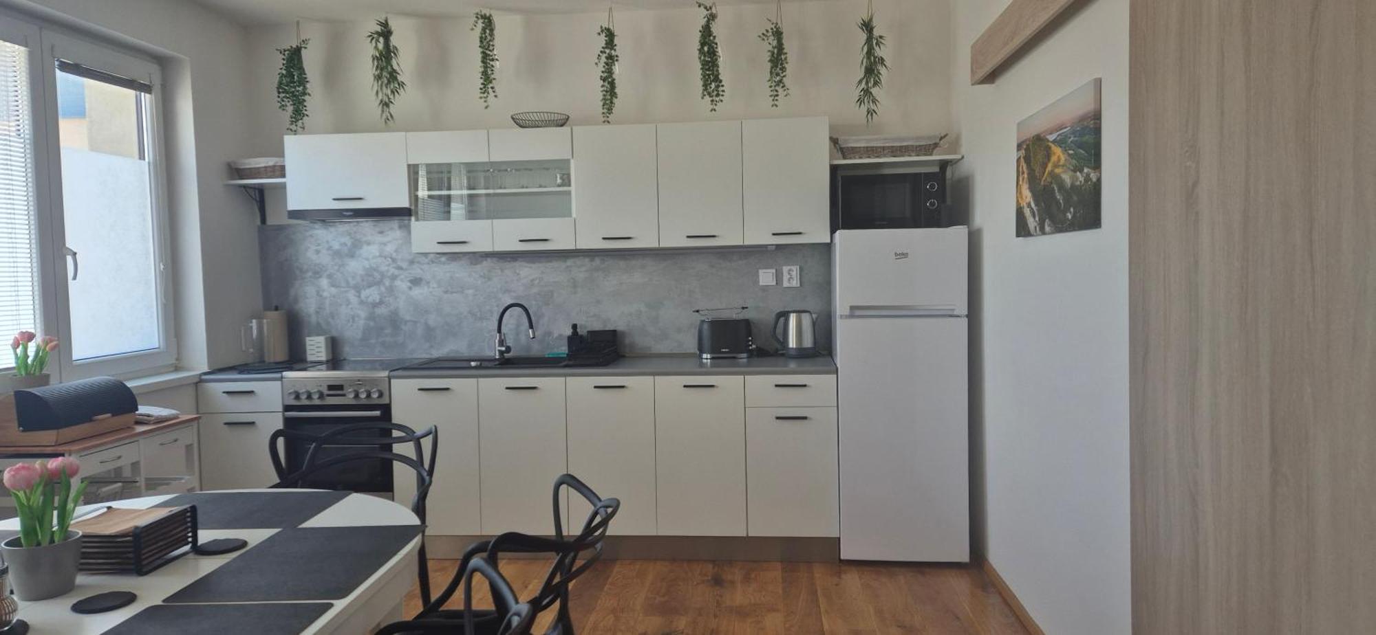 Apartman Vital Na Palave - Ubytovani & Zivotni Restart Пасохлавки Экстерьер фото